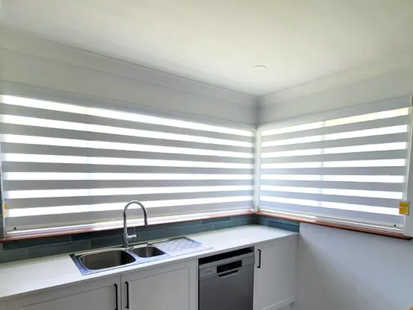 zebra blind newcastle